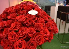 The Ever Red from breeder De Ruiter is the biggest product at the farm of Kikwetu Flowers. The farm is located on Mount Kenya, Timau.